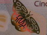 Animacin del efecto de la mariposa que cambia de color en el billete de 50 pesos de la familia F1