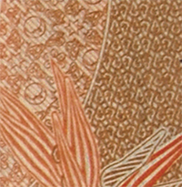 Ejemplo de fondo lineal en el reverso del billete de 500 pesos de la familia F