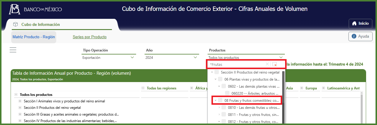 Ejemplo de búsqueda con asterisco
