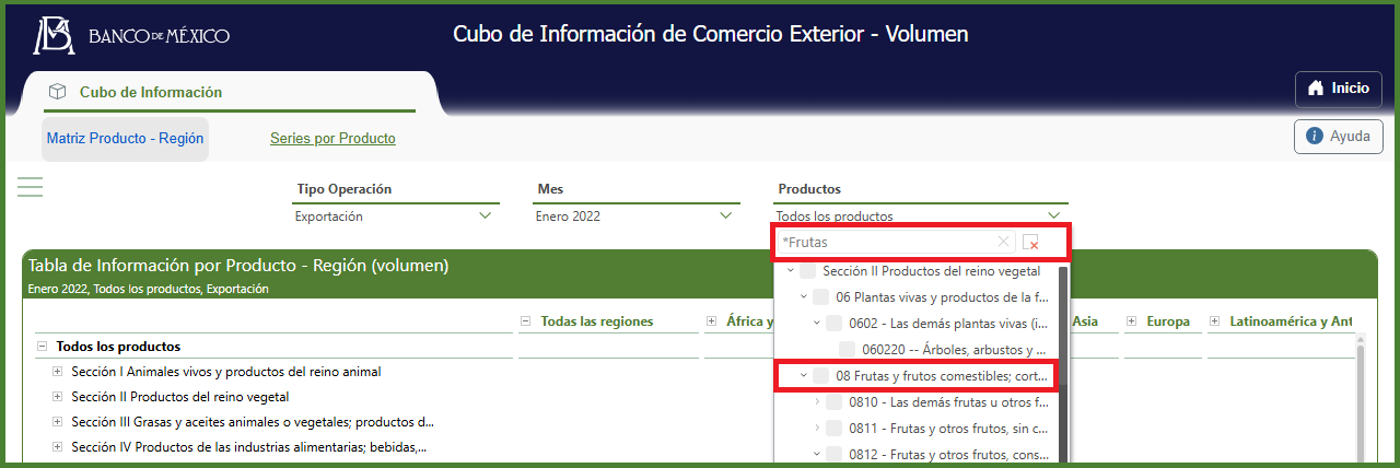 Ejemplo de búsqueda con asterisco