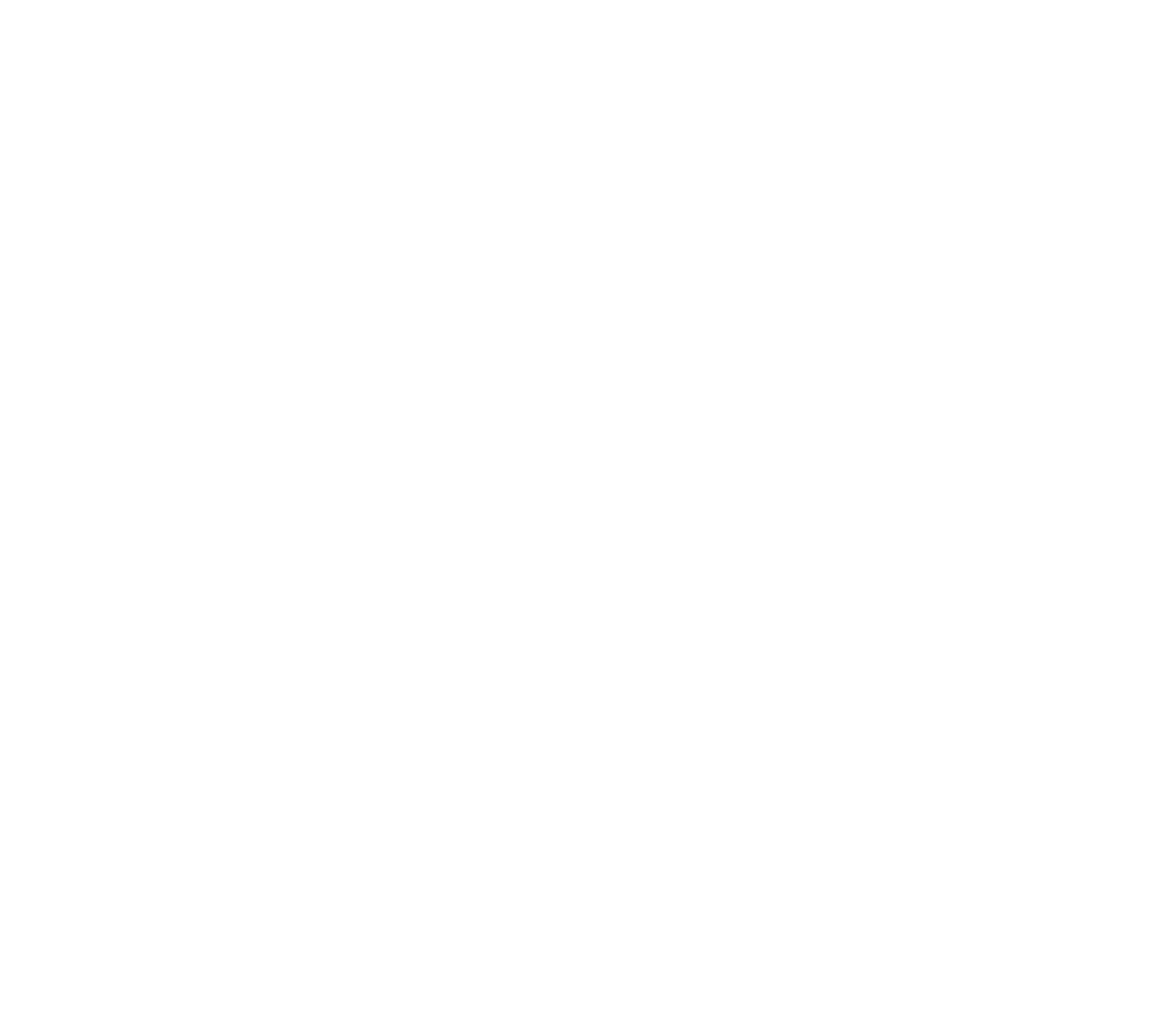Logo DIBM