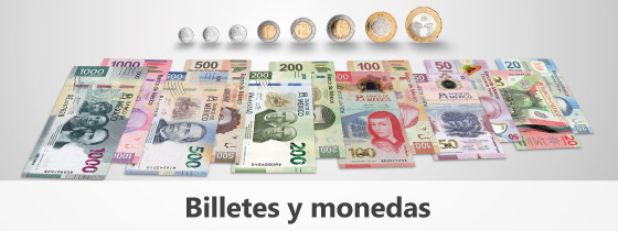 Billetes y monedas