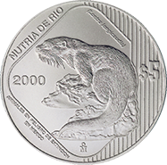 Reverso de la moneda de plata nutria de ro de la coleccin monedas y especies
